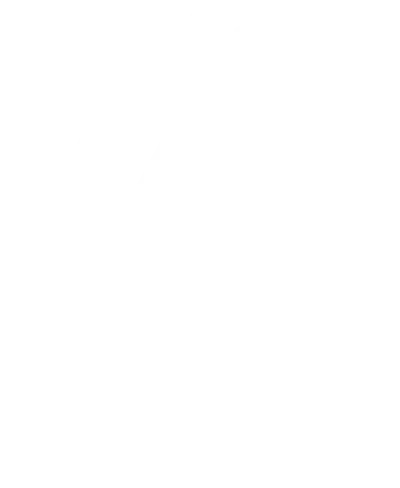 Adrenalin Auto Group
