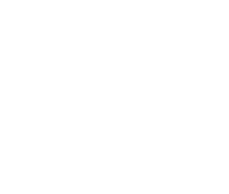 Louis University