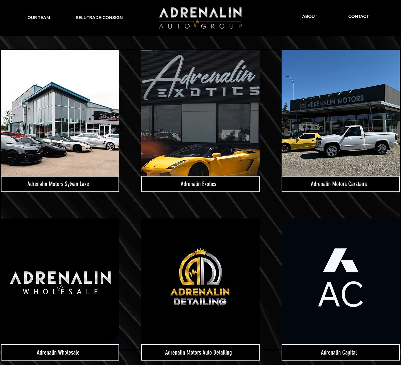 Adrenalin Auto Group — 4