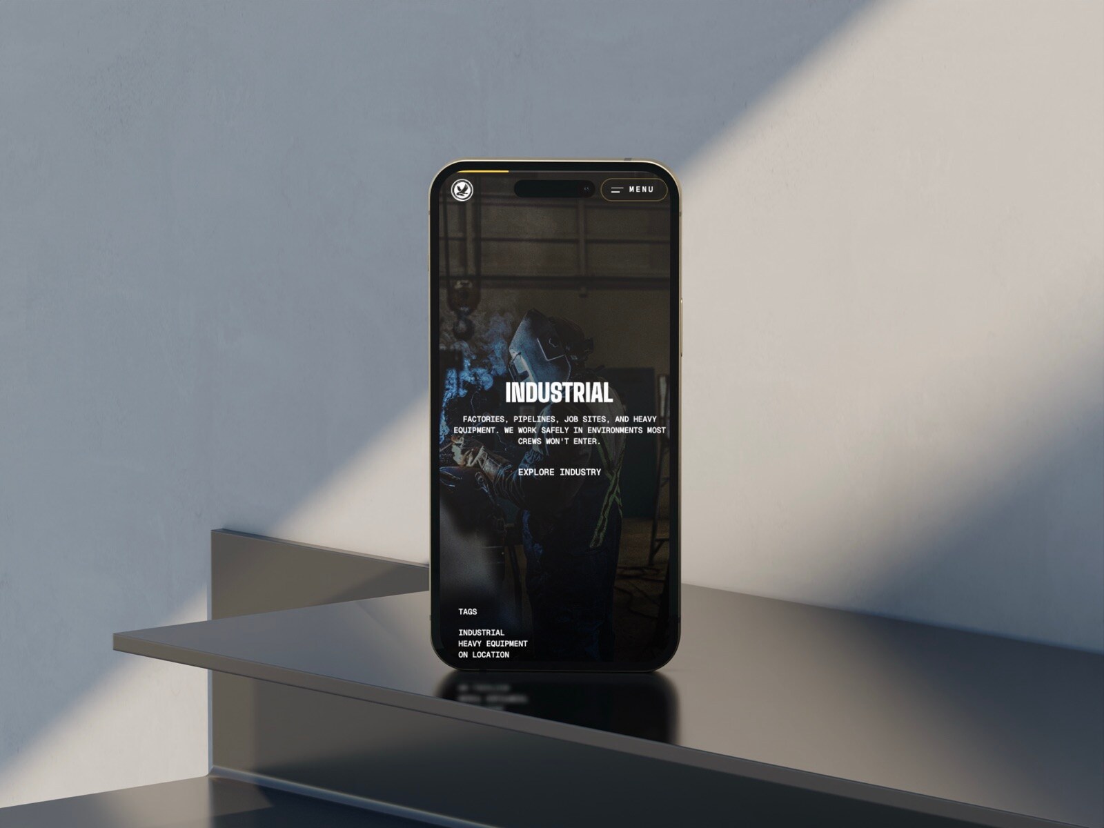 Flying Goose Media — 4